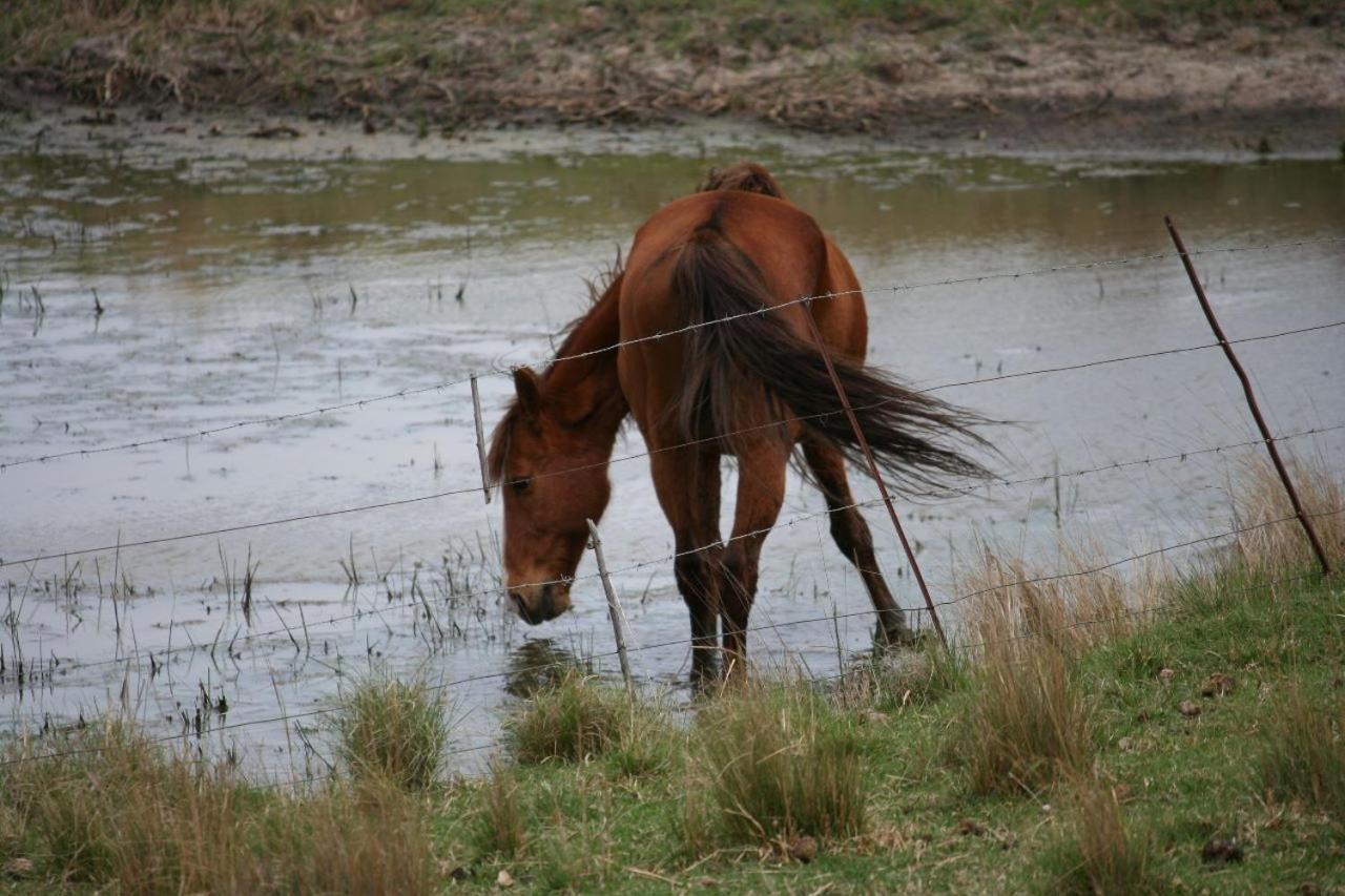 Forellenhof Guest Farm Wakkerstroom Buitenkant foto