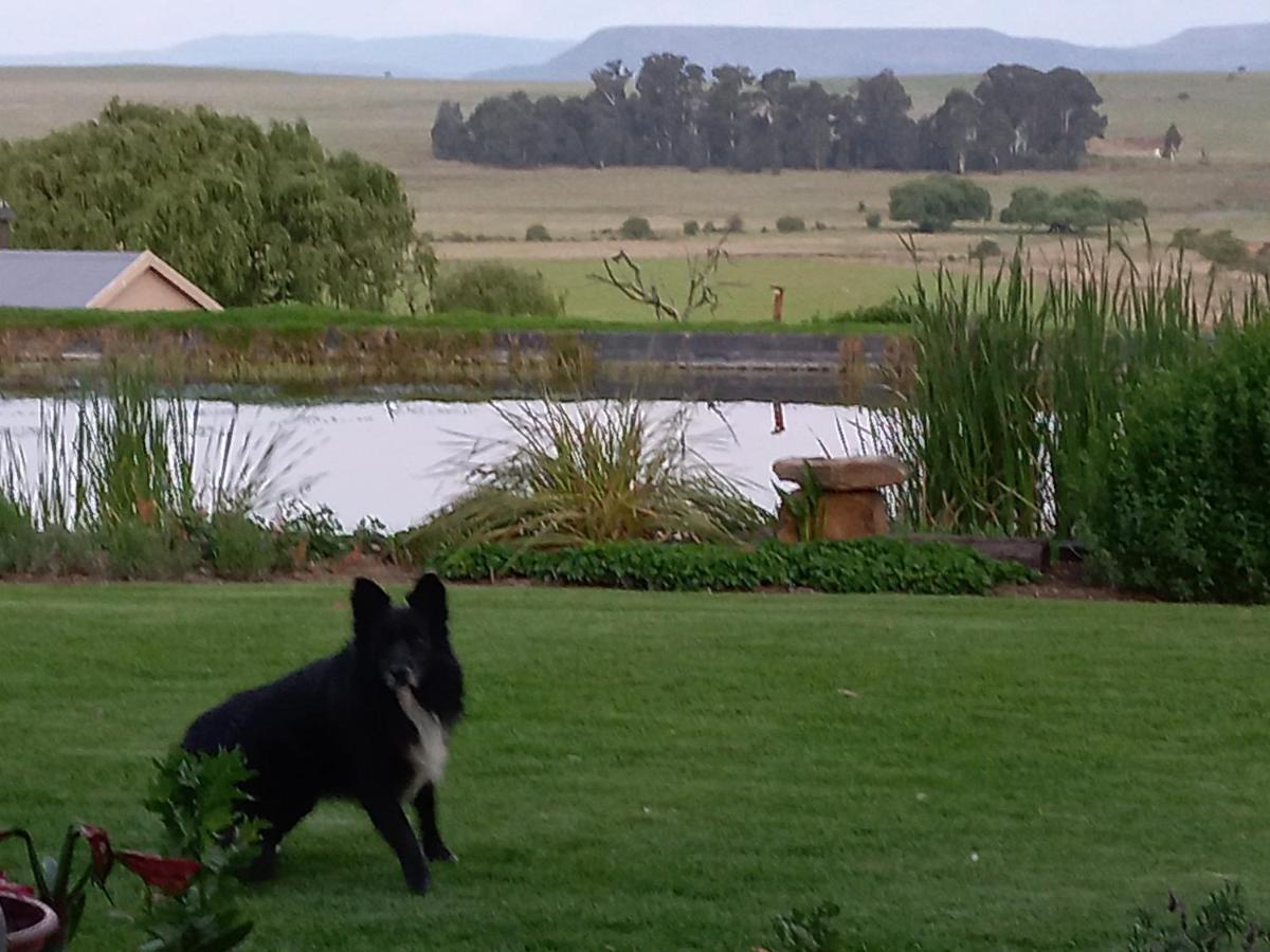 Forellenhof Guest Farm Wakkerstroom Buitenkant foto