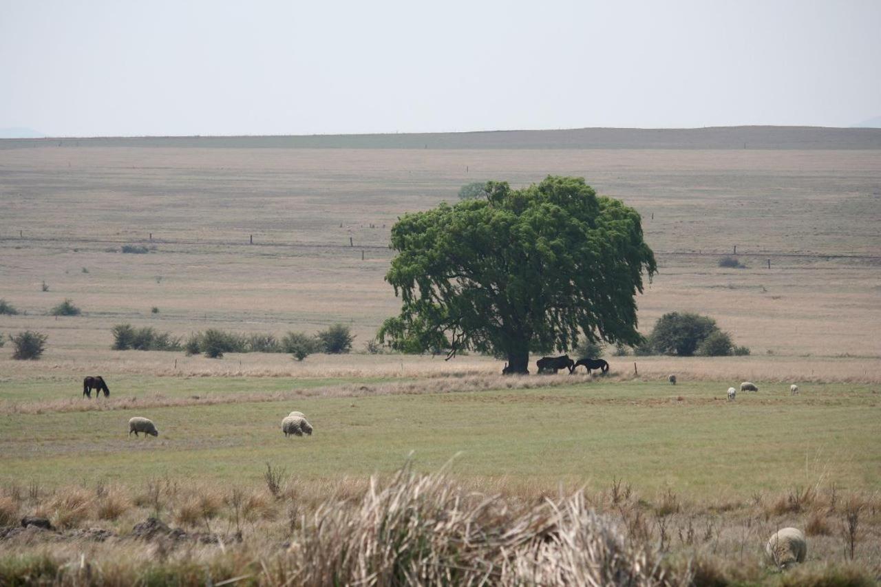 Forellenhof Guest Farm Wakkerstroom Buitenkant foto