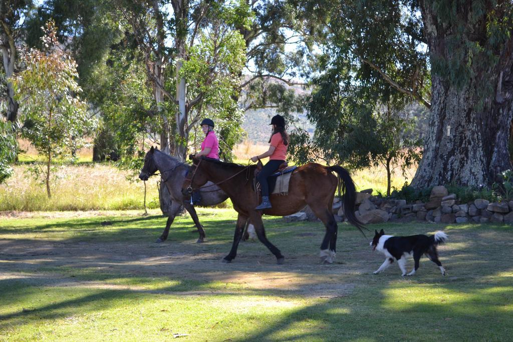 Forellenhof Guest Farm Wakkerstroom Buitenkant foto