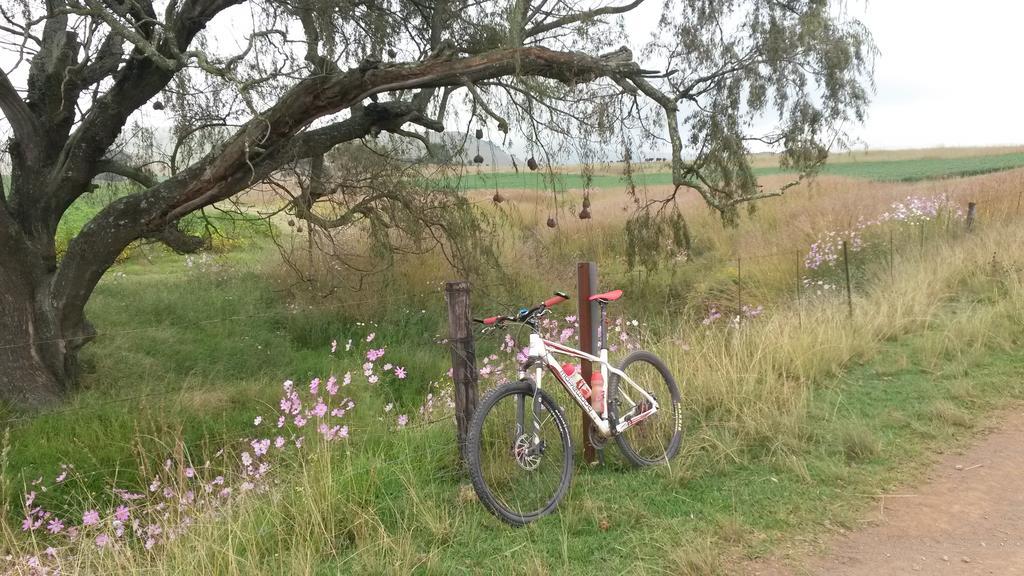 Forellenhof Guest Farm Wakkerstroom Buitenkant foto
